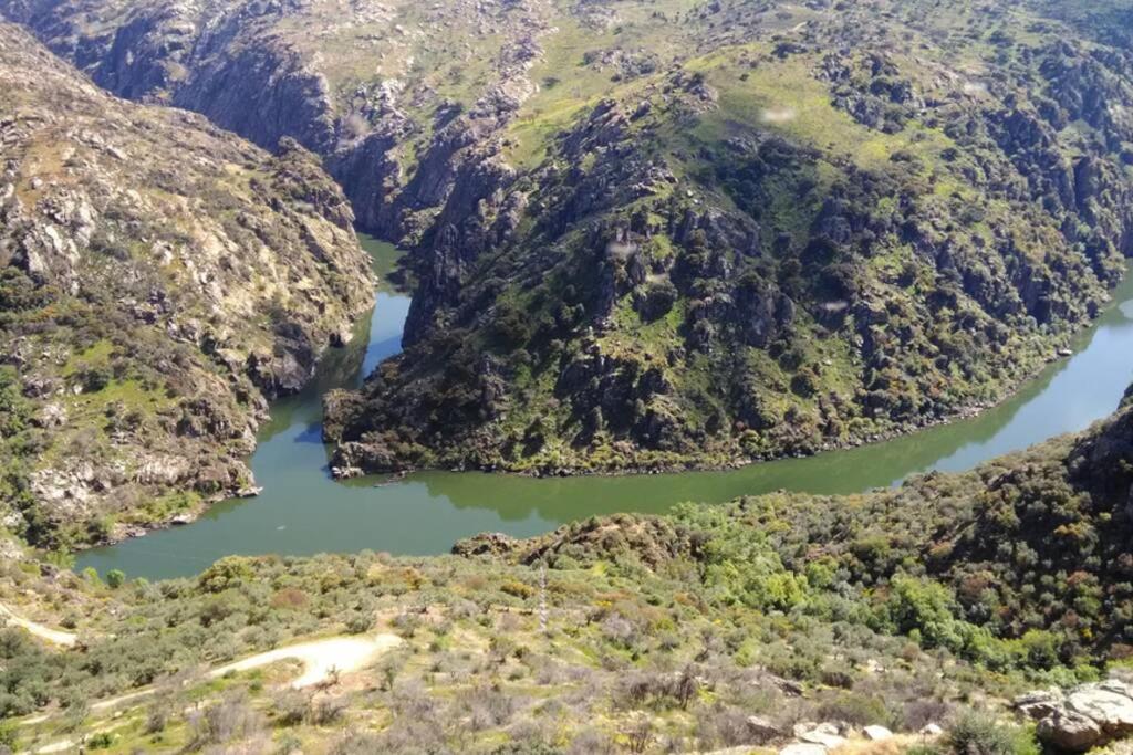 Refugio Do Douro Guest House Bemposta  المظهر الخارجي الصورة