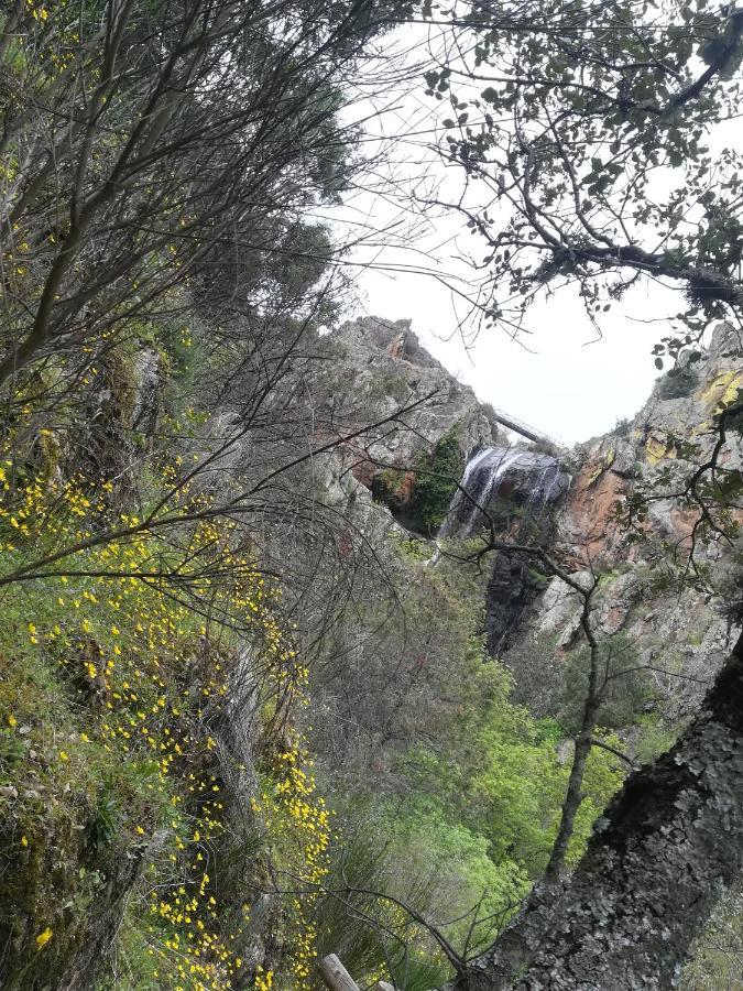 Refugio Do Douro Guest House Bemposta  المظهر الخارجي الصورة